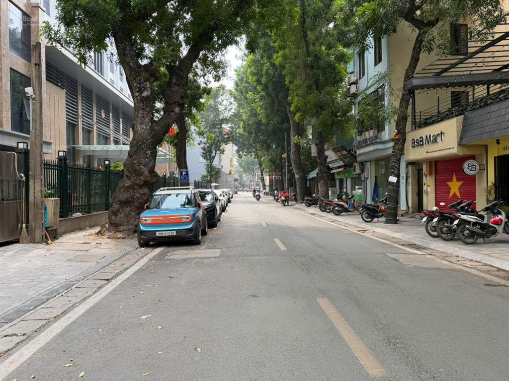 Bán nhà mặt phố nguyễn bỉnh khiêm lô góc siêu đẹp, 75m2 mặt tiền 5,25m giá chỉ 40,5 tỷ