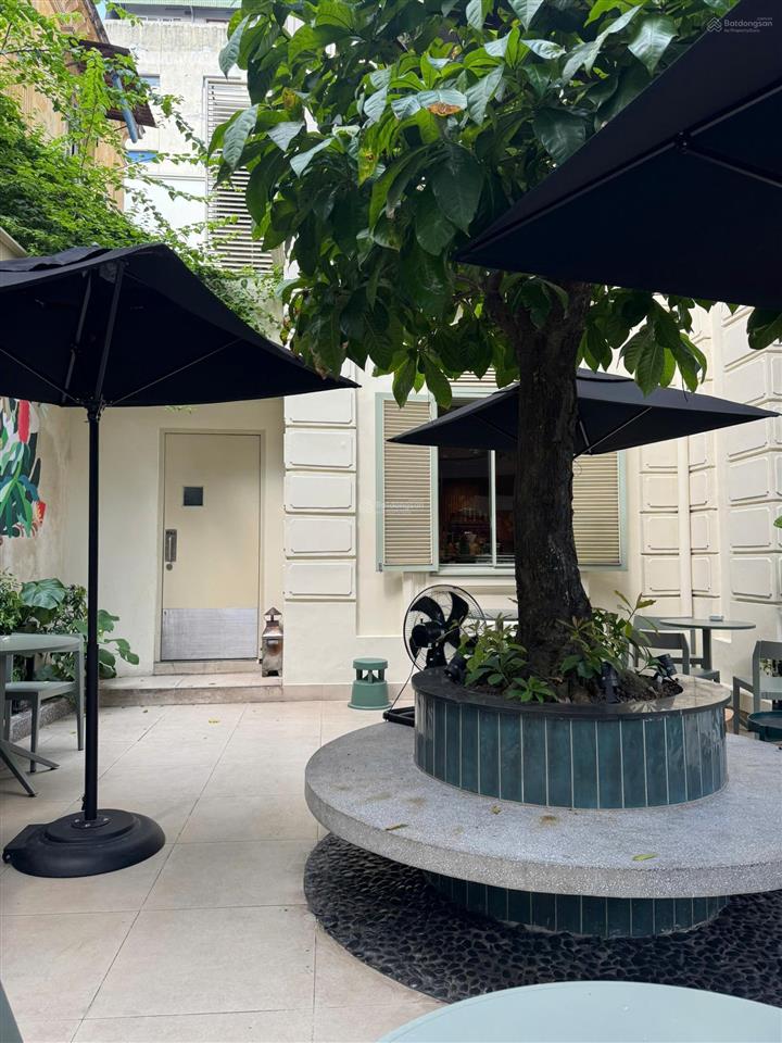 Bán nhà mặt phố tràng thi  hoàn kiếm siêu vip, lô góc, 219m2 mặt tiền 19.8m, chỉ 215 tỷ