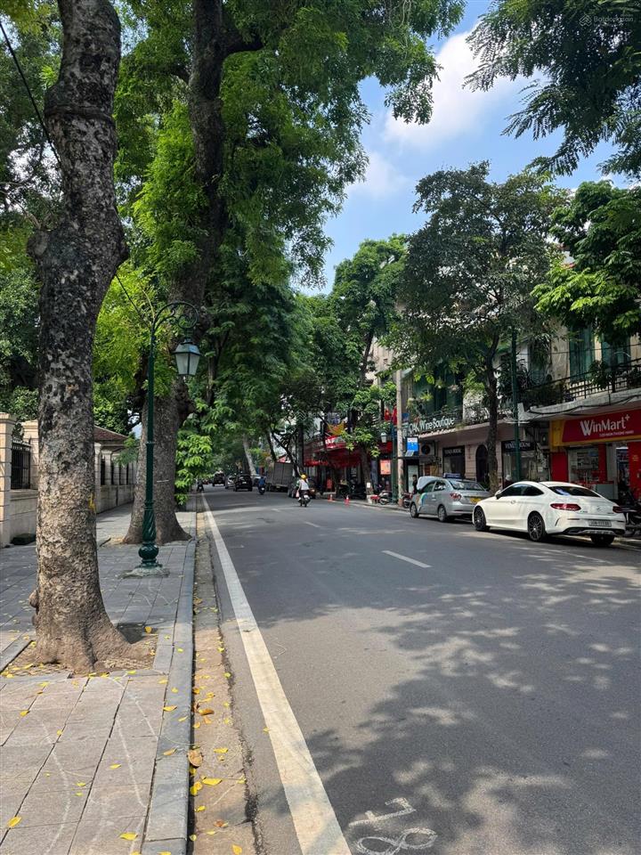 Bán nhà mặt phố tràng thi  hoàn kiếm siêu vip, lô góc, 219m2 mặt tiền 19.8m, chỉ 215 tỷ