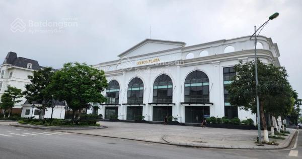 Biệt thự đơn lập giá yêu thương cho các nhà đầu tư