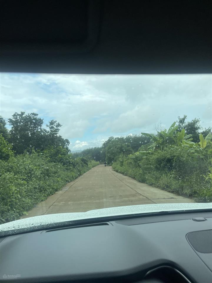 Bán rẫy 2ha5 cà phê có thu nhập tại quảng hiệp  cưmgar  daklak