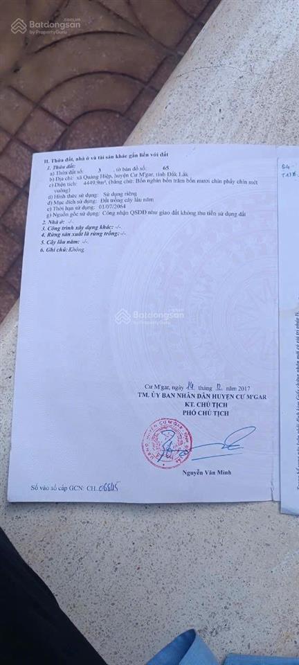 Bán rẫy 2ha5 cà phê có thu nhập tại quảng hiệp  cưmgar  daklak