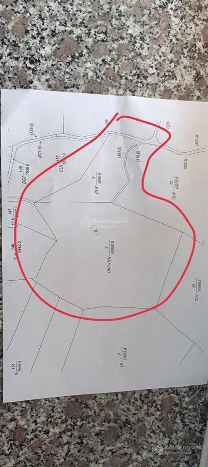 Bán rẫy 2ha5 cà phê có thu nhập tại quảng hiệp  cưmgar  daklak