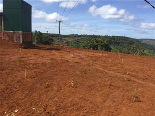 Chính chủ cần bán 3.8ha đất tại phường nghĩa tân  gia nghĩa  đắk nông