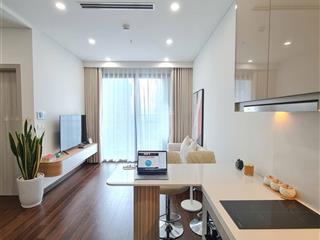 Bán căn hộ tại vin smart city  1pn + , 2n 2vs, 3pn 2wc, cơ bản đến full nội thất,, giá từ 2.7x tỷ