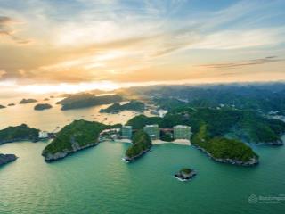 Bí mật đầu tư sinh lời quanh năm tại flamingo cát bà resorts