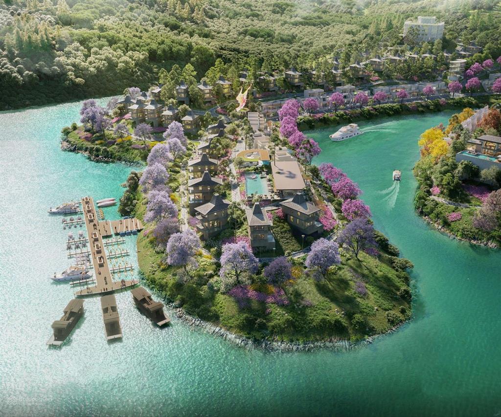 Shoshin bình thanh  siêu phẩm biệt thự nghỉ dưỡng  lãi suất kép