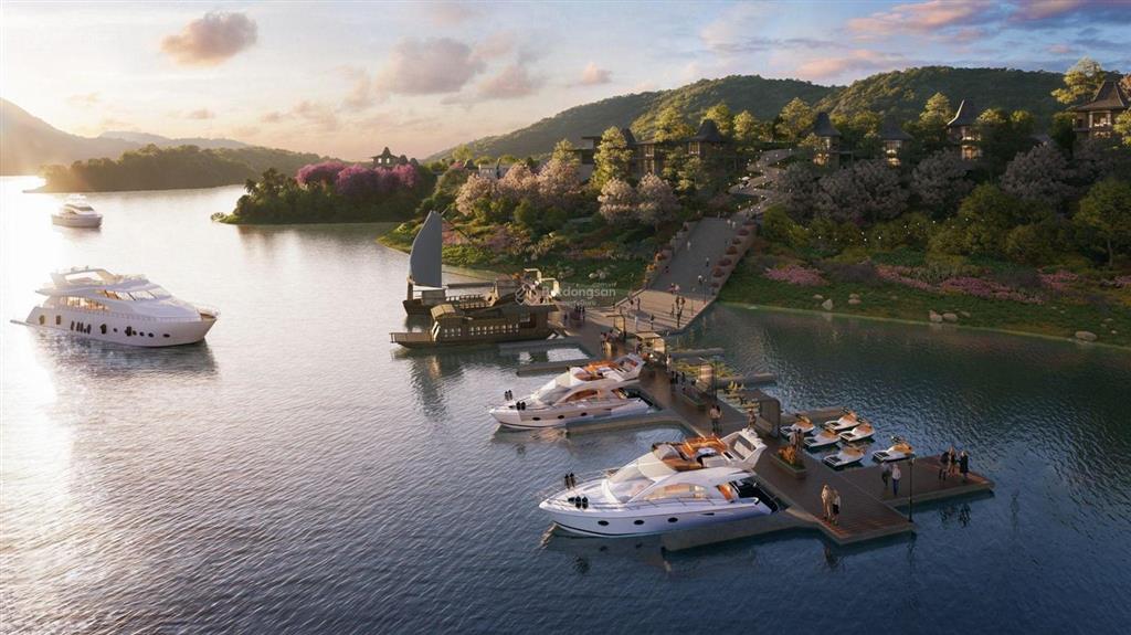 Shoshin bình thanh  siêu phẩm biệt thự nghỉ dưỡng  lãi suất kép