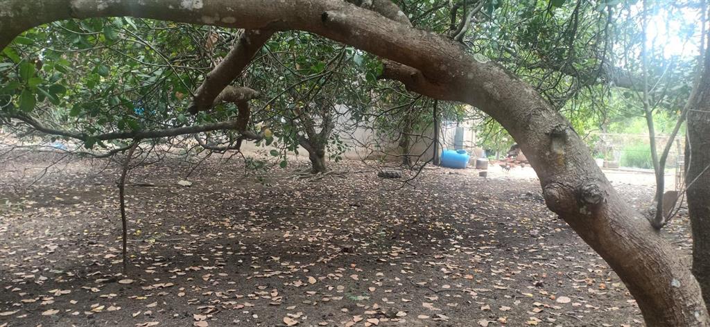 Bán 496.2m2 mặt tiền 10m, đường rộng 4m, lk kcn đồng xoài 2 và 3, giá 2 tỷ