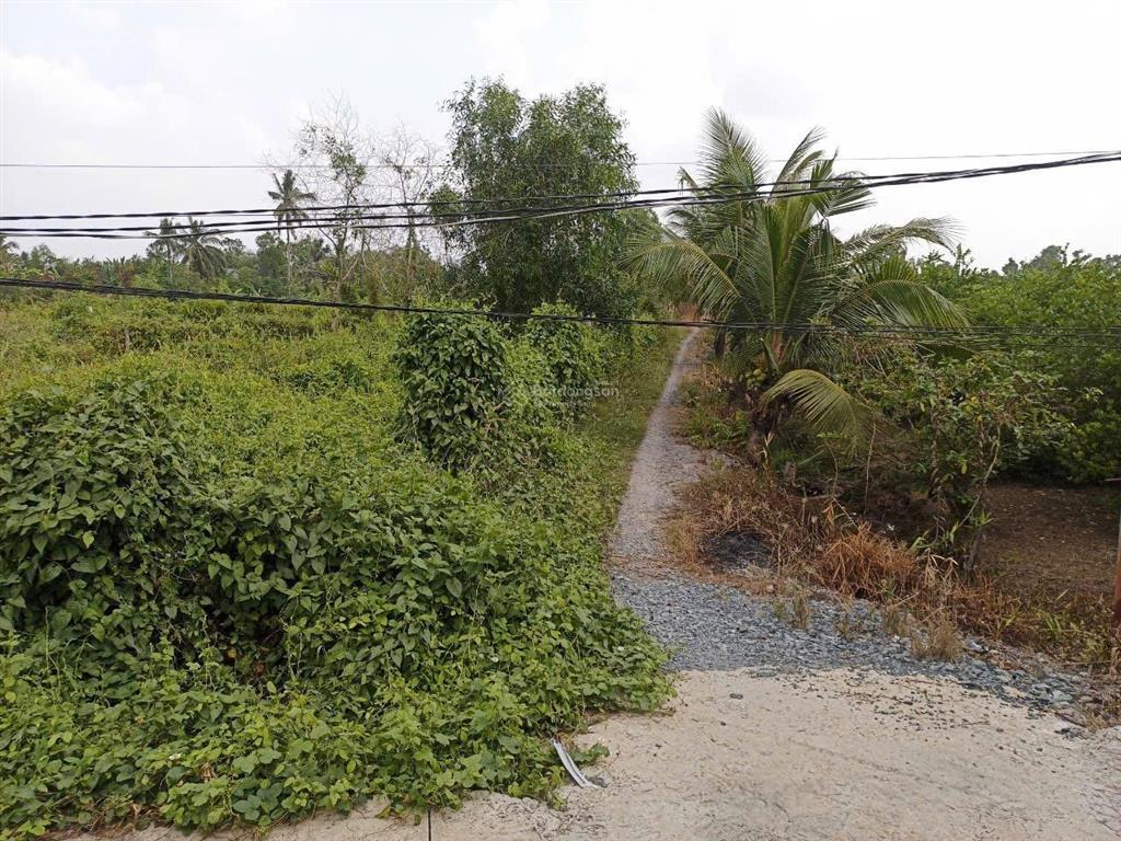 Đát mt ql1a xa thạnh đức huyện bến lức tỉnh long an,(10x106) full tc ko dính qhlg