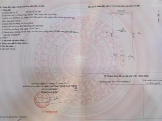 Siêu hot bán 50000m2 đất có cao su đang khai thác năm 2 tại xã tân hoà, tây ninh. 12,5 tỷ