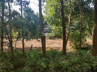 Tôi cần bán gấp mảnh đất diện tích 5736m2 tại thôn nhân lý, xã xuân sơn, thị xã sơn tây