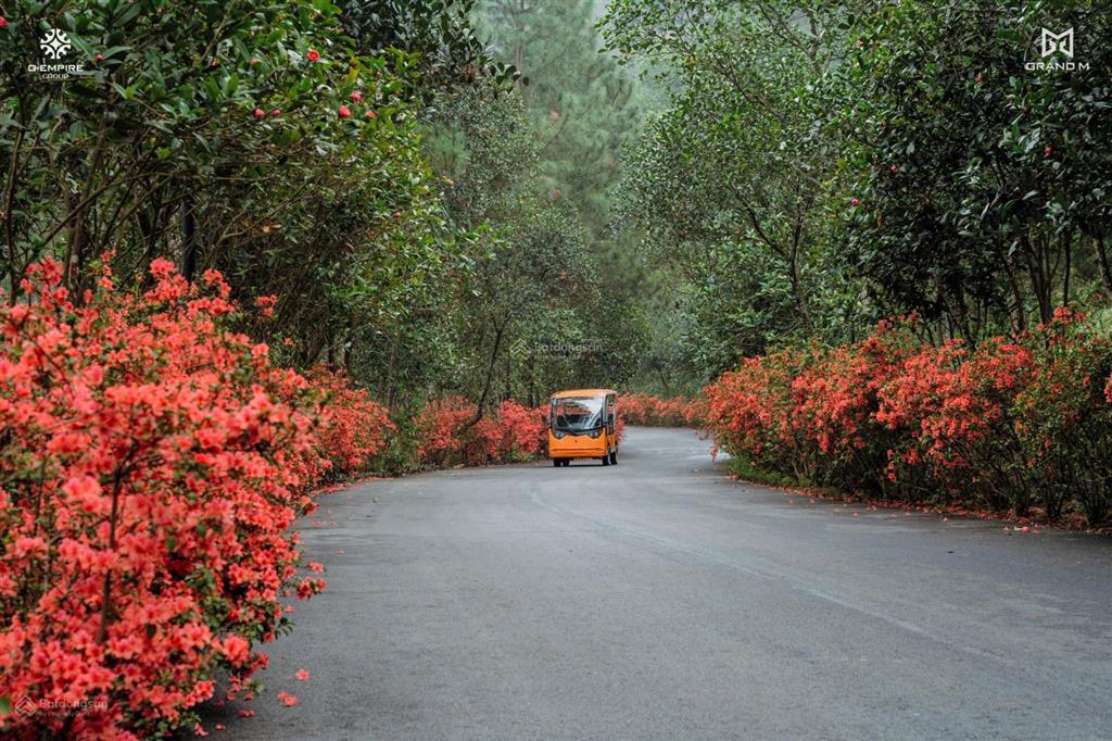 Quỹ hàng hot  thanh xuân valley, siêu phẩm giữa thung lũng,  e hậu để có quỹ căn đẹp 0966 392 ***