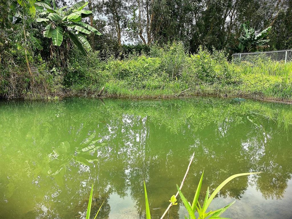 Đất nền giá siêu rẻ có ngân hàng hỗ trợ vay