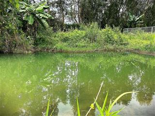 Đất nền giá siêu rẻ  có ngân hàng hỗ trợ vay