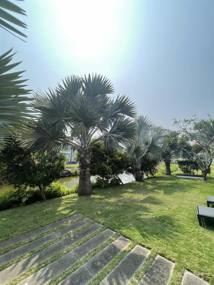 Chính chủ bán gấp biệt thự biển view trực diện biển, 508m2 sổ hồng full nội thất, hồ bơi sân vườn
