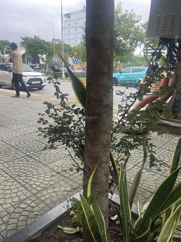 Bán nhà mt đường nguyễn nhàn  hoà thọ đông  cẩm lệ  đà nẵng  đường 7m5