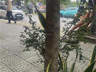 Bán nhà mt đường nguyễn nhàn hoà thọ đông cẩm lệ  đà nẵng đường 7m5