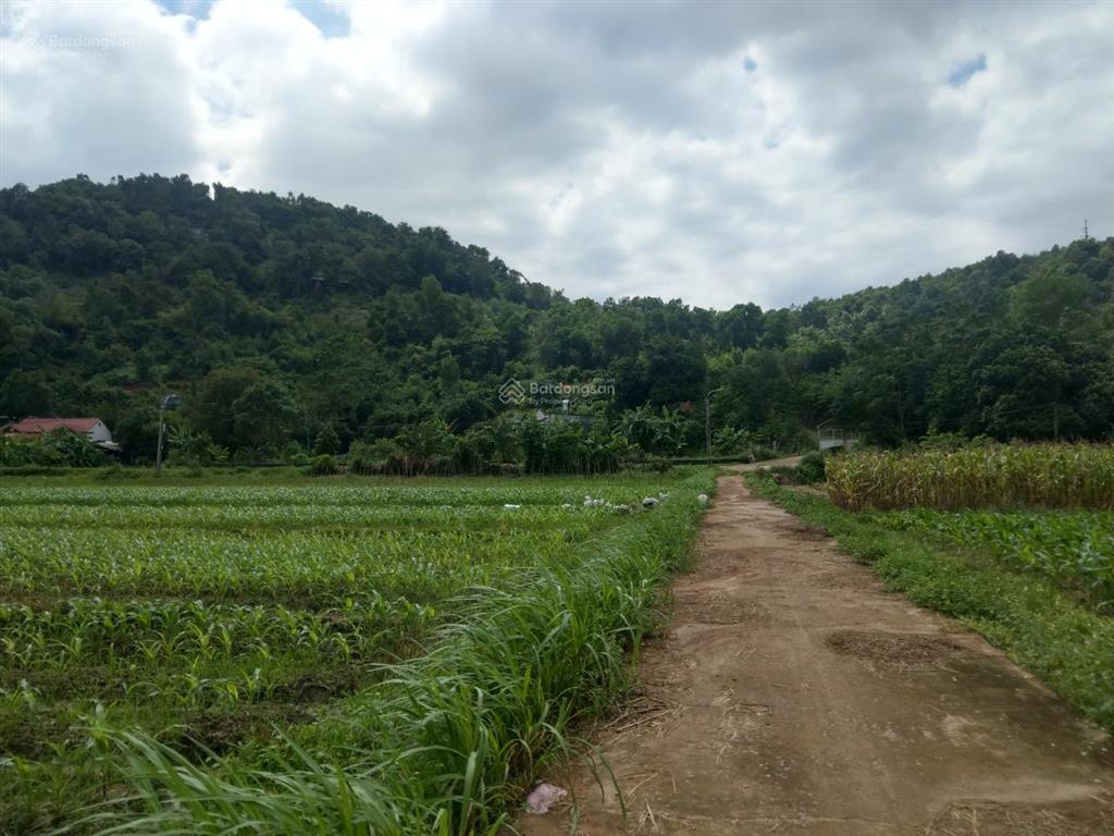 Đất đẹp 5500m2 xây dựng homestay nghỉ dưỡng ngay cạnh đt 413 mở rộng 30m, không có mảnh thứ 2