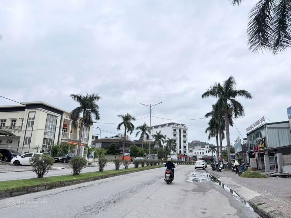 Bán đất mặt tiền đường trần thái tông  hạ long