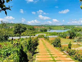 Nhà biệt thự vườn 6000m2 ven đà lạt