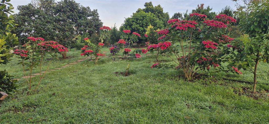 Chính chủ bán nhà vườn 5850m2, khu du lịch sinh thái hồ phúc thọ