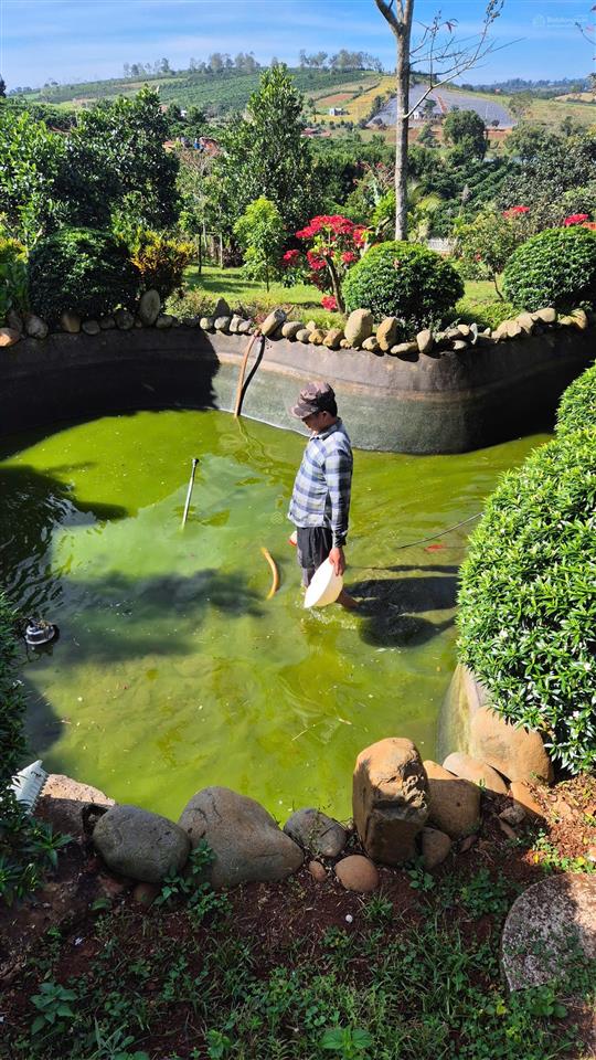 Chính chủ bán nhà vườn 5850m2, khu du lịch sinh thái hồ phúc thọ