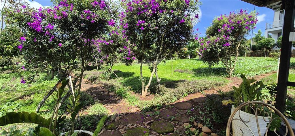 Chính chủ bán nhà vườn 5850m2, khu du lịch sinh thái hồ phúc thọ