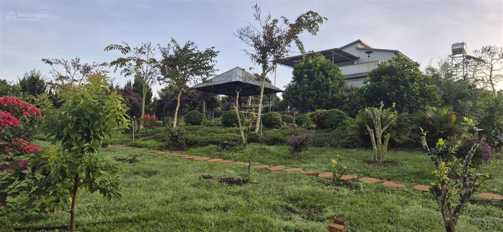 Chính chủ bán nhà vườn 5850m2, khu du lịch sinh thái hồ phúc thọ