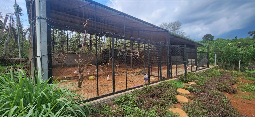 Chính chủ bán nhà vườn 5850m2, khu du lịch sinh thái hồ phúc thọ