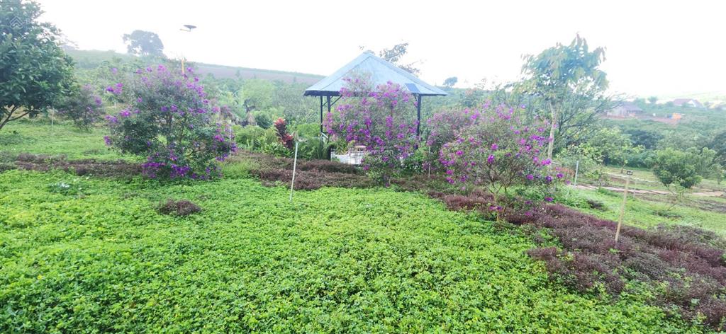 Chính chủ bán nhà vườn 5850m2, khu du lịch sinh thái hồ phúc thọ