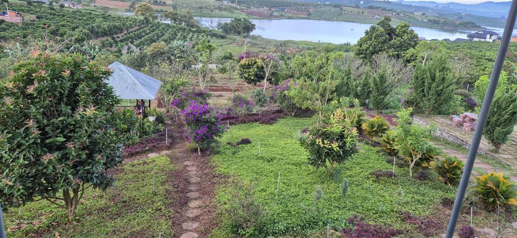 Chính chủ bán nhà vườn 5850m2, khu du lịch sinh thái hồ phúc thọ