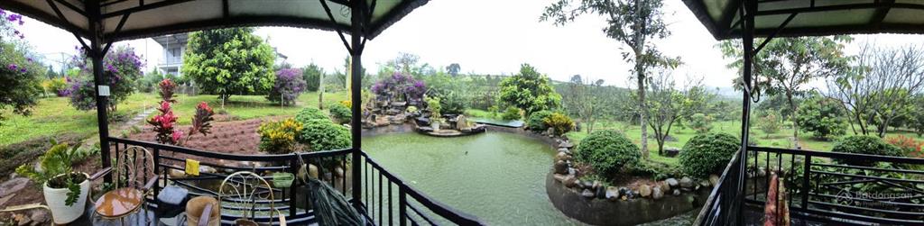 Chính chủ bán nhà vườn 5850m2, khu du lịch sinh thái hồ phúc thọ