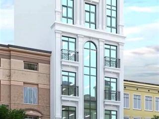 Bán mảnh đất phân lô xây toà văn phòng, 100m2 mặt tiền 6.2m, ô tô tránh kinh doanh, giá 25.86 tỷ