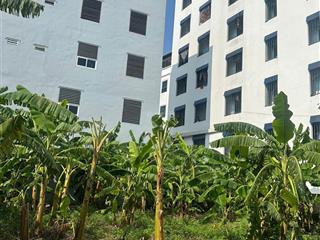 Chủ cần bán gấp lô 164m, mt 8m tân xã. gần fpt, khu cnc, gần ga metro. khu đông dân, giá chỉ 3.x tỷ