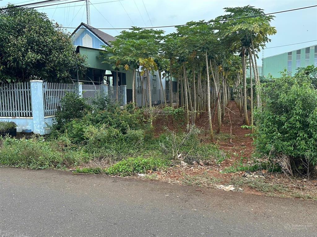 Đất hoà long tp bà rịa mặt tiền đường 16. 9x44  396m2  thổ cư, sổ hồng riêng, xây dựng tự do.