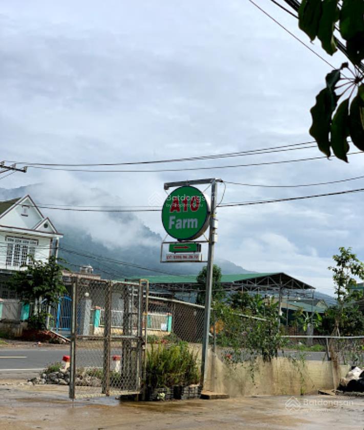 Rẻ nhất khu vực, 8 tr/th, 1000m2 mặt đường 20, kế cây xăng phú lợi, hiệp an  đức trọng