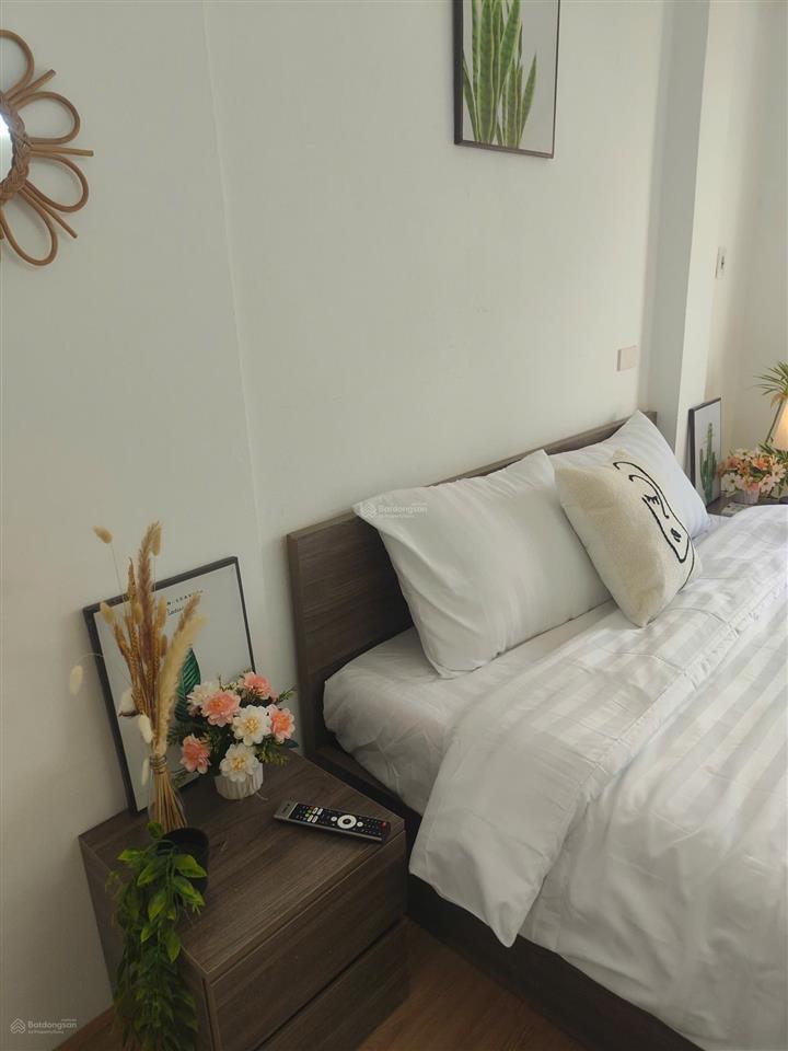 Cho thuê cc mini 1pn, 1wc, 40m2 tại đào tấn, ngọc khánh, ba đình, hà nội, 6,5 triệu