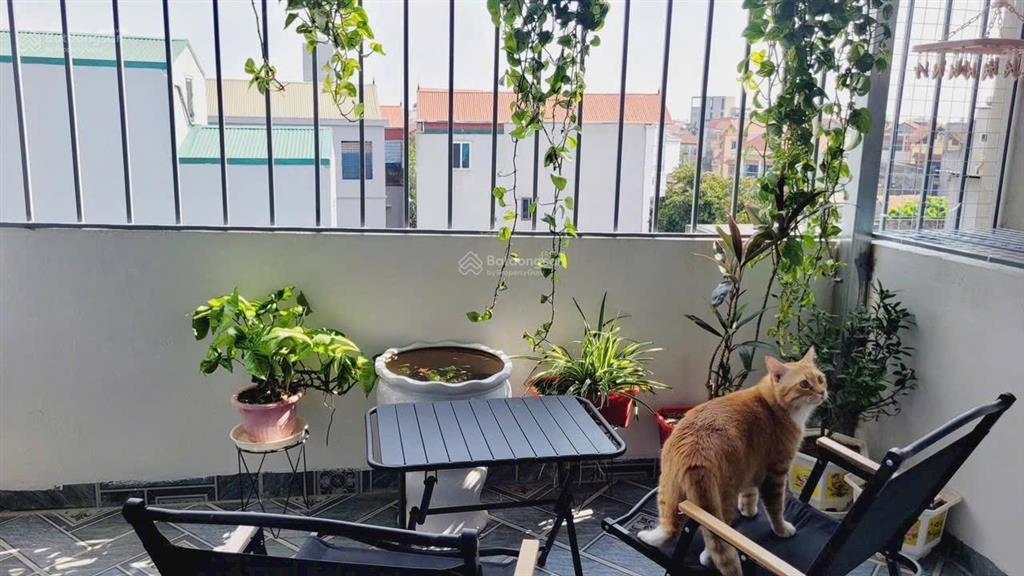 Cần bán 1 căn nhà 32m2x5 tầng tại tân lập đan phượng. giá 4,3 tỷ  0983 595 ***