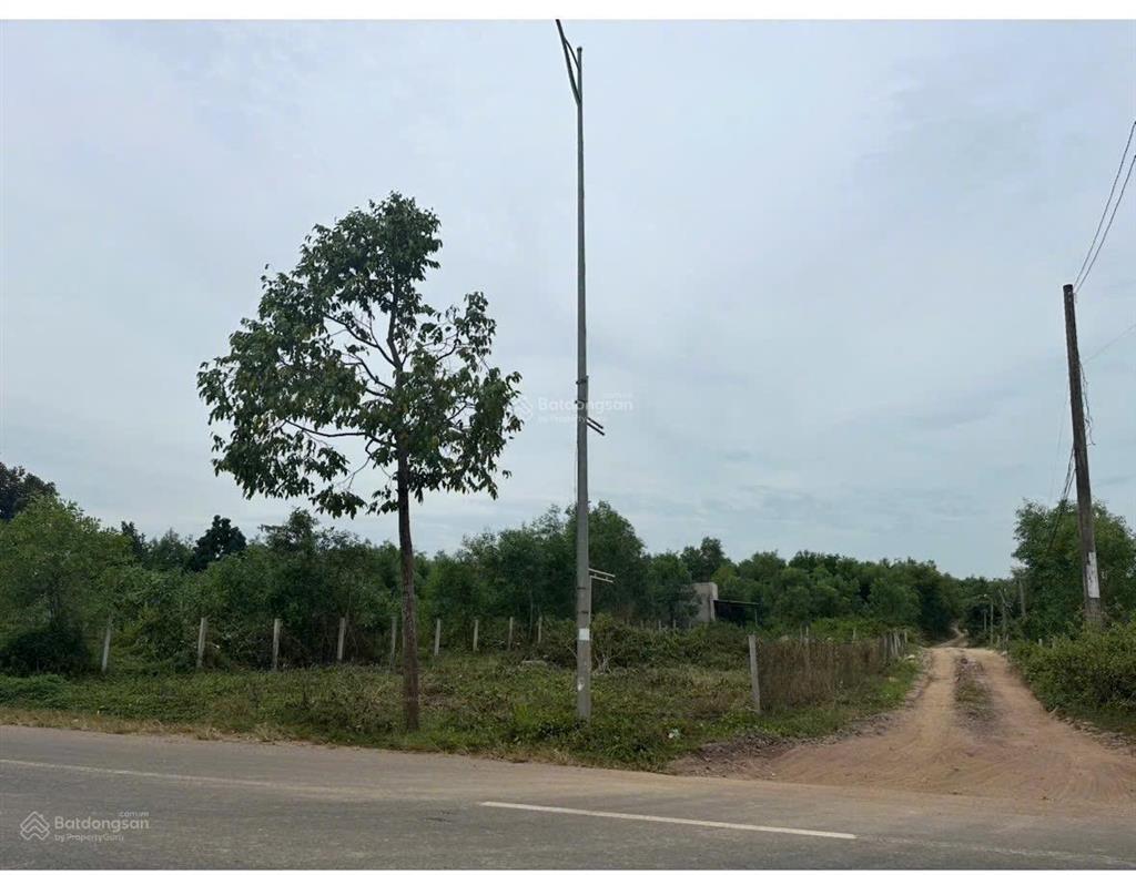 Đất ngợp, bán lỗ và rẻ hơn giá thị trường mặt tiền đường