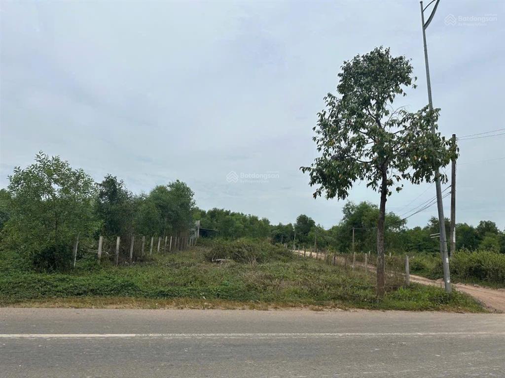 Bán đất mặt tiền xã hồ tràm  hcm