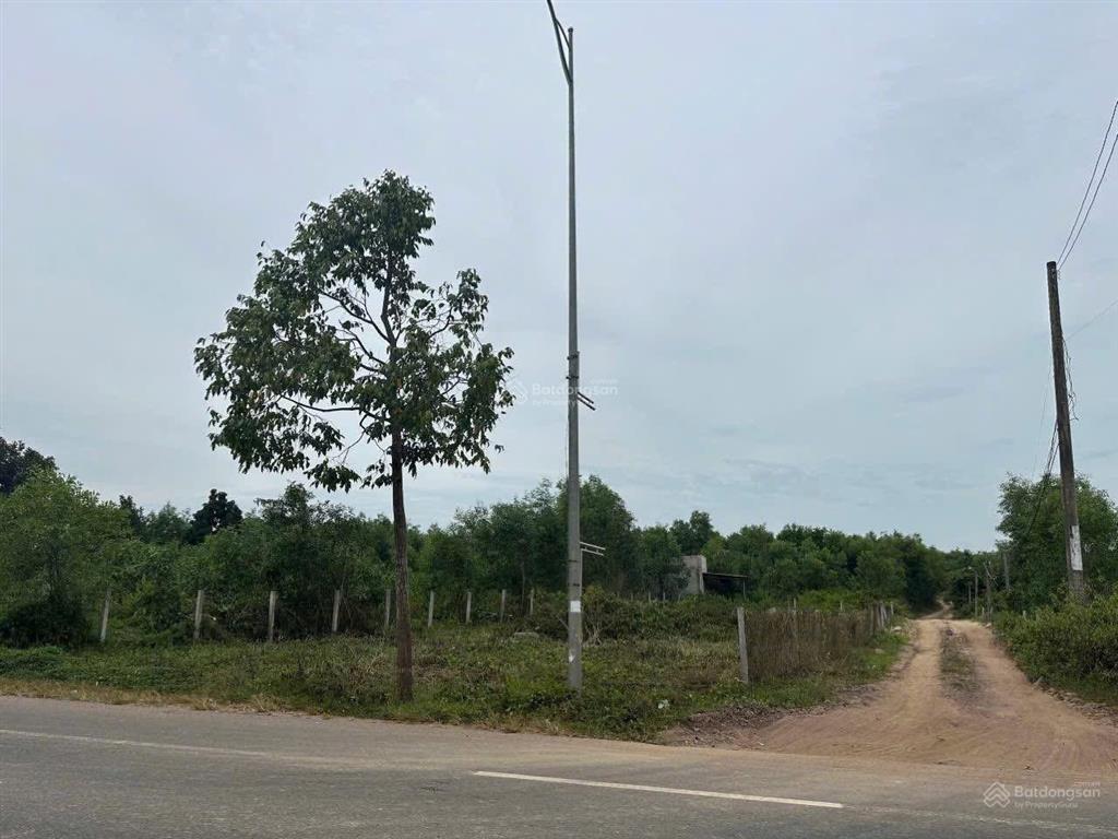 Bán đất mặt tiền xã hồ tràm  hcm