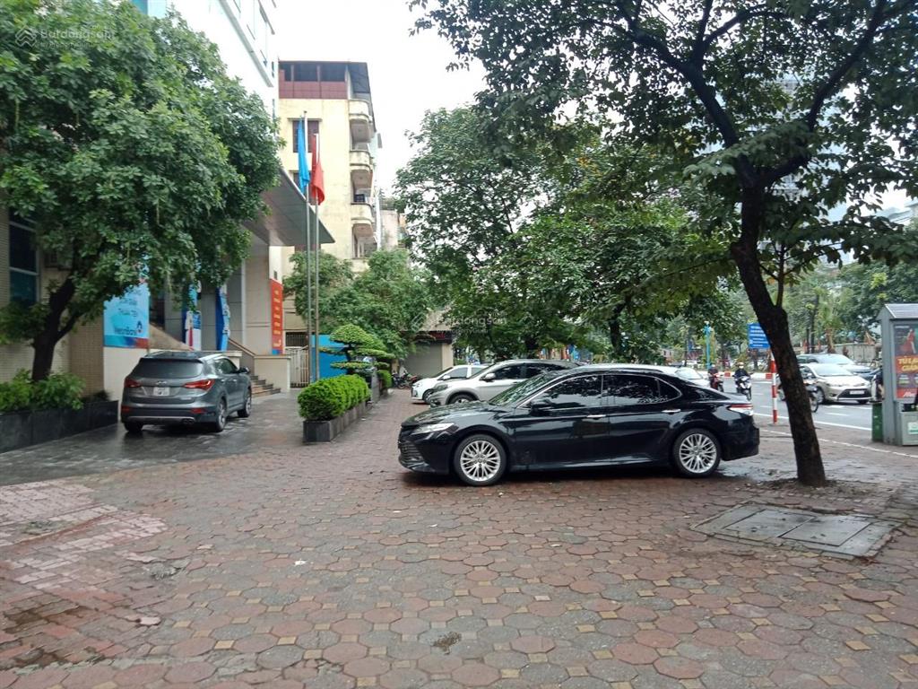 Bán gấp lô đất mp trần duy hưng dt 320m, mt 16m, vỉa hè rộng kinh doanh sầm uất giá 137 tỷ