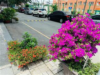 Bán căn shophouse chung cư green town bình tân 128m2 3pn 2wc, giá 10.5 tỷ
