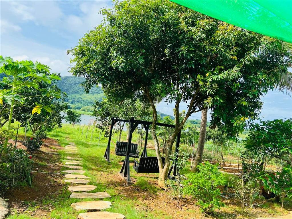 Bán gấp trang trại, khu nghỉ dưỡng tại vũ bình, lạc sơn, hòa bình, 14 tỷ, 4500 m2