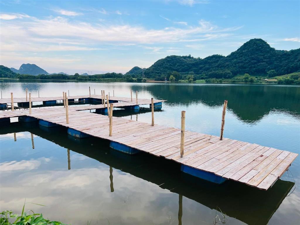 Bán gấp trang trại, khu nghỉ dưỡng tại vũ bình, lạc sơn, hòa bình, 14 tỷ, 4500 m2