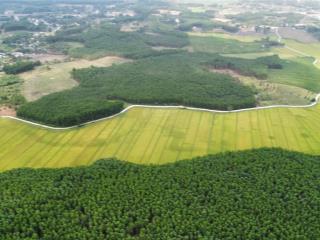 Cần bán 9.4ha đất trồng cây lâu năm tại hoà phú, hoà vang, đà nẵng, view đẹp, giá tốt