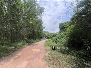 Bán đất tại phú hữu, nhơn trạch, đồng nai, 7,9 tỷ, 1000m2 giá siêu hời uy tín