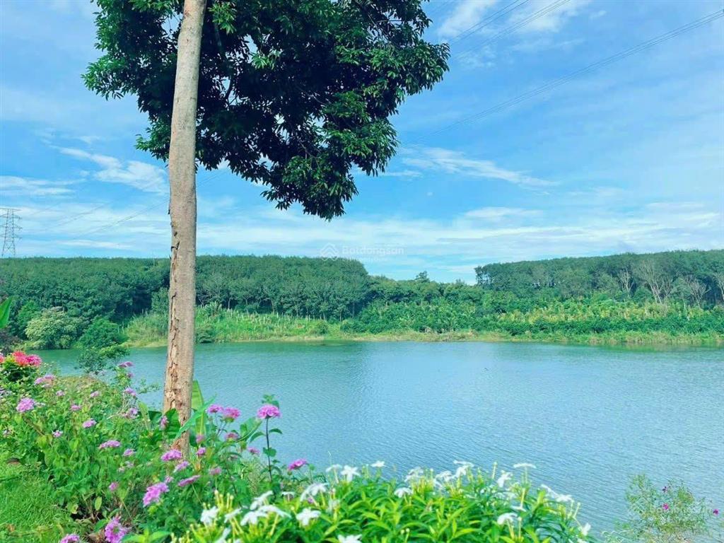 Chính chủ bán lô đất 1000m2 view trực diện hồ đắk sin, dăk r'lấp, đắk nông, giá tốt 600 triệu vnd