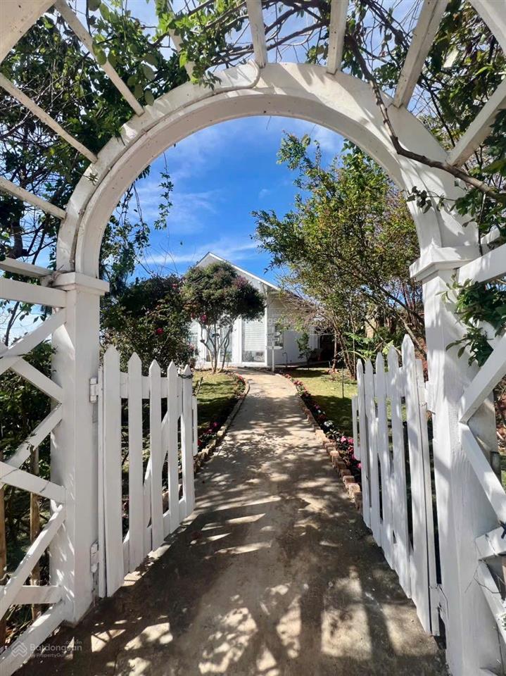 Cho thuê nhà vườn xuân thọ 2000m view săn mây đẹp phù hợp làm home cf